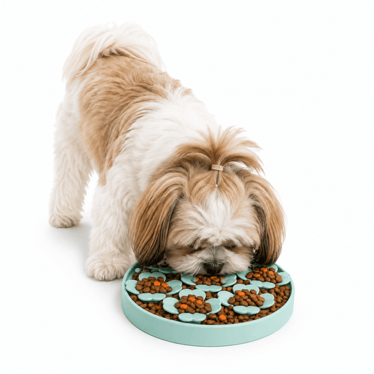 Prodog Blossom Enrichment Feeder
