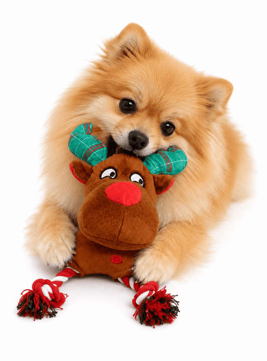 MOOSE REINDEER