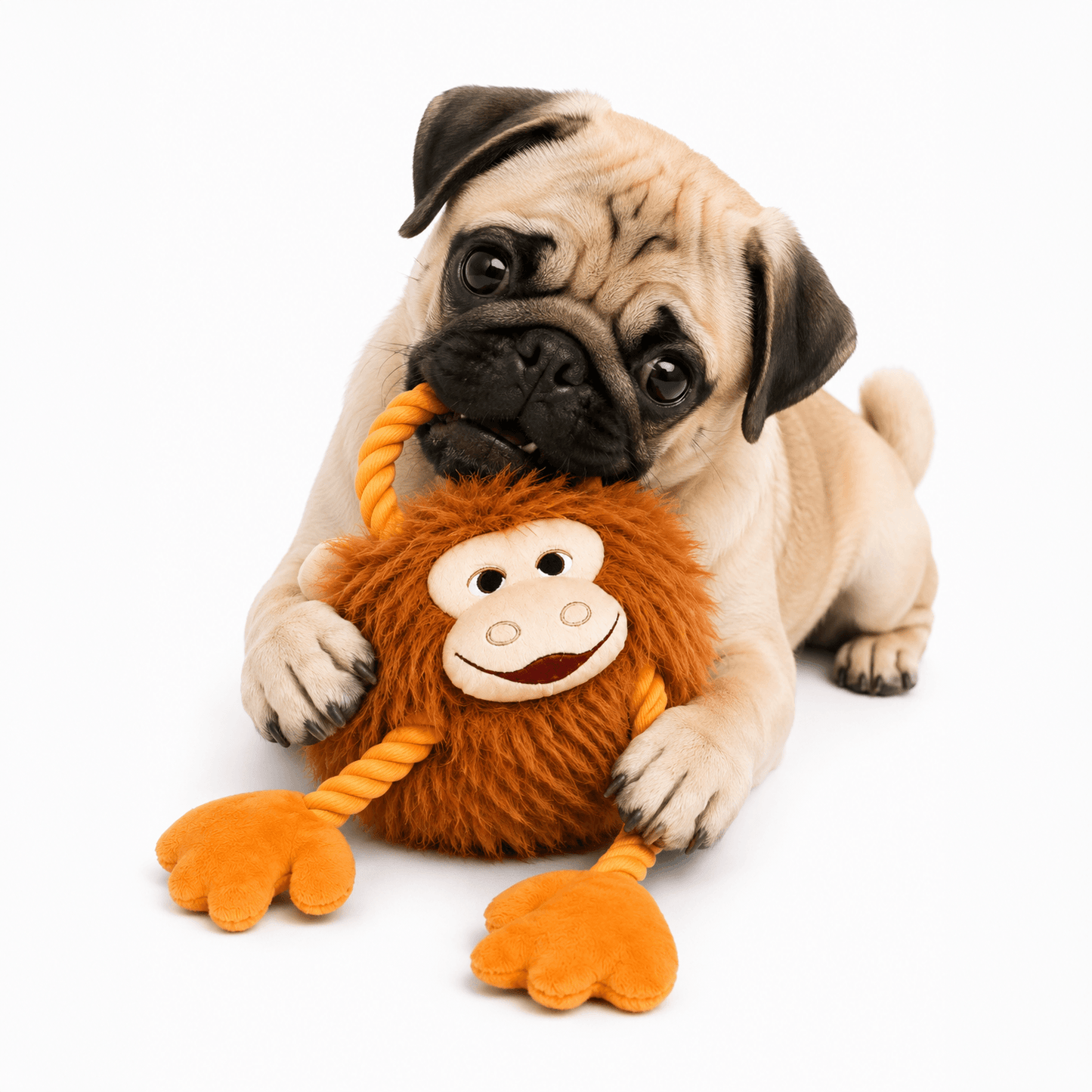 ROPE MONKEY
