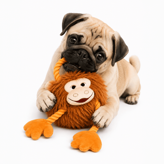 ROPE MONKEY