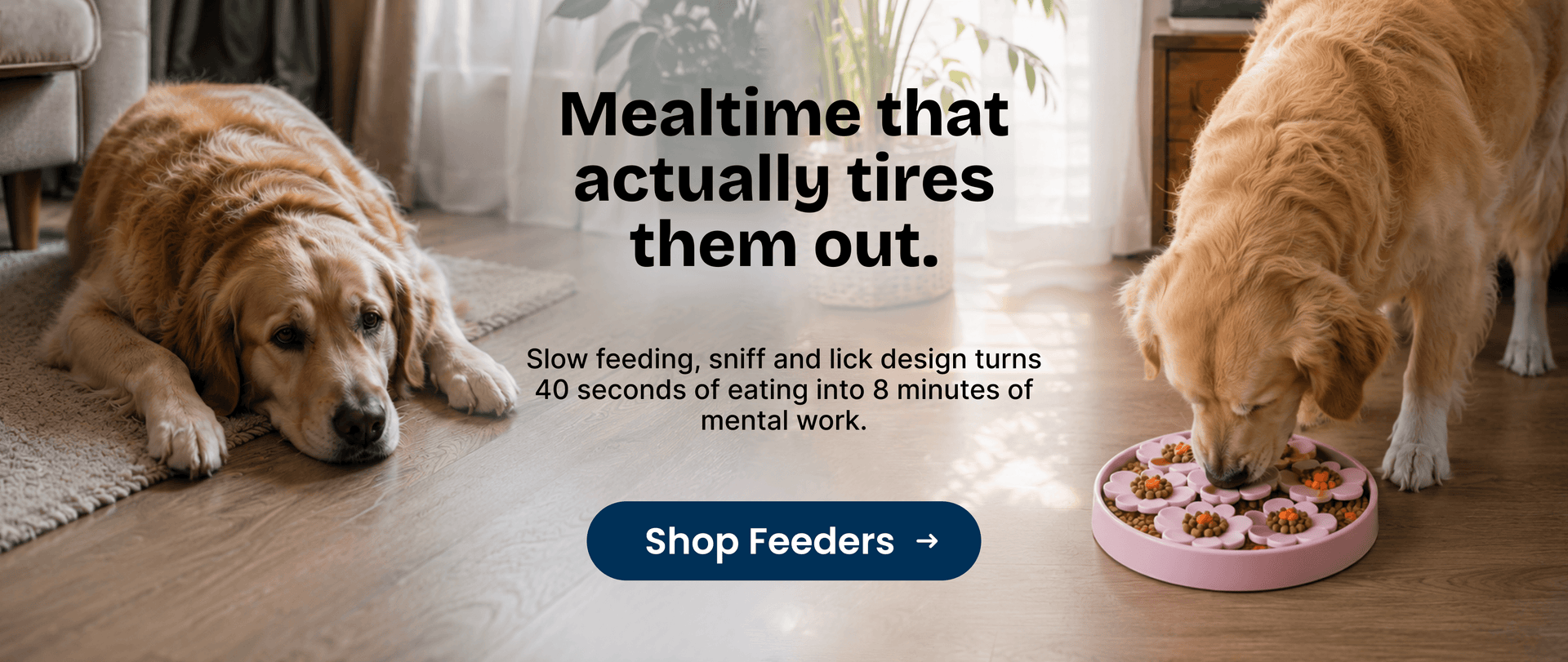Premium Banner
