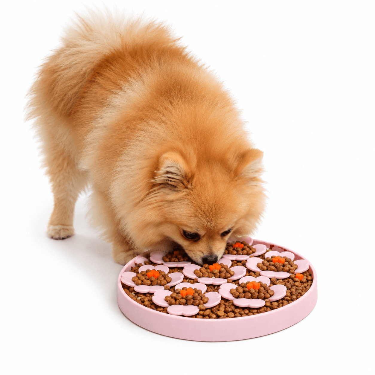 Prodog Blossom Enrichment Feeder