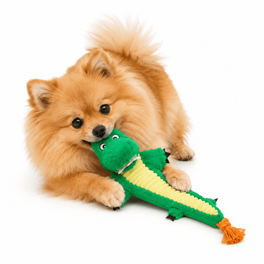 FISHY CROCO