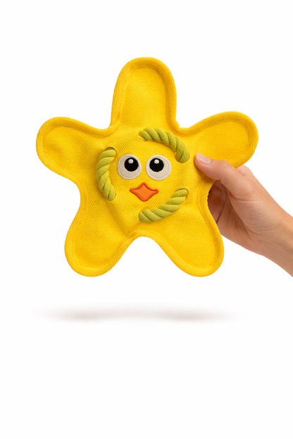 Starfish Shake & Squeak