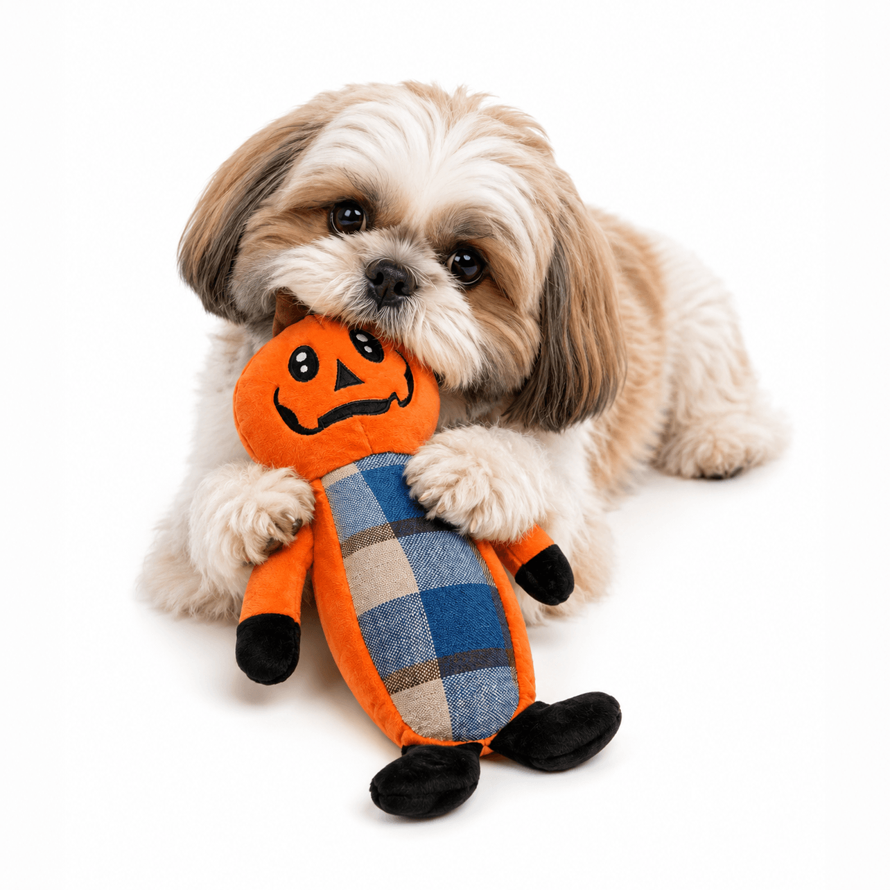 PLAID PUMPKIN