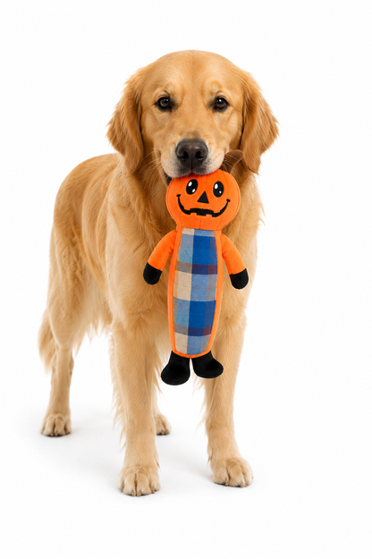 PLAID PUMPKIN