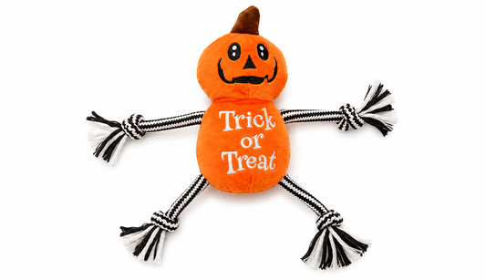 PUMPKIN JACK