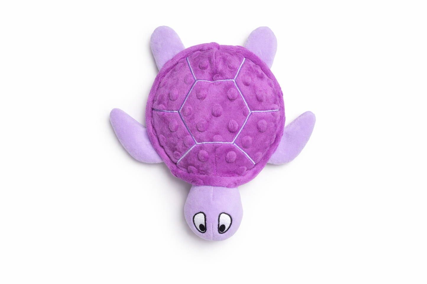 Shelby turtle
