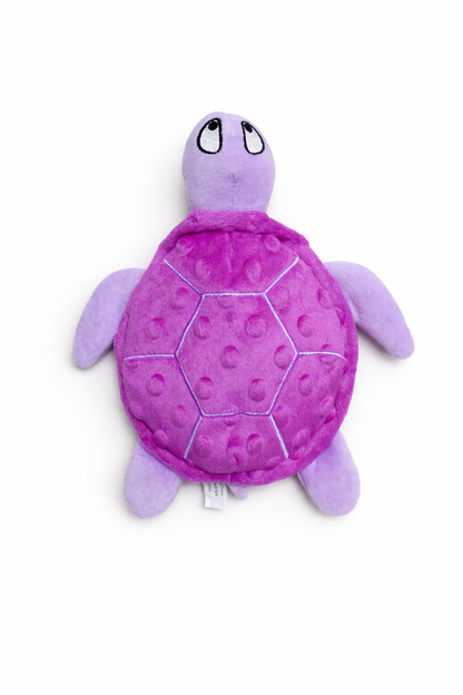 Shelby turtle