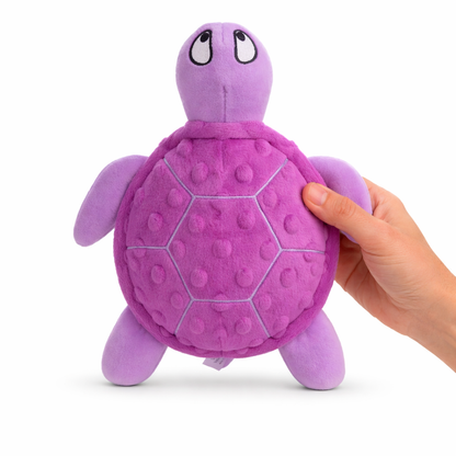 Shelby turtle