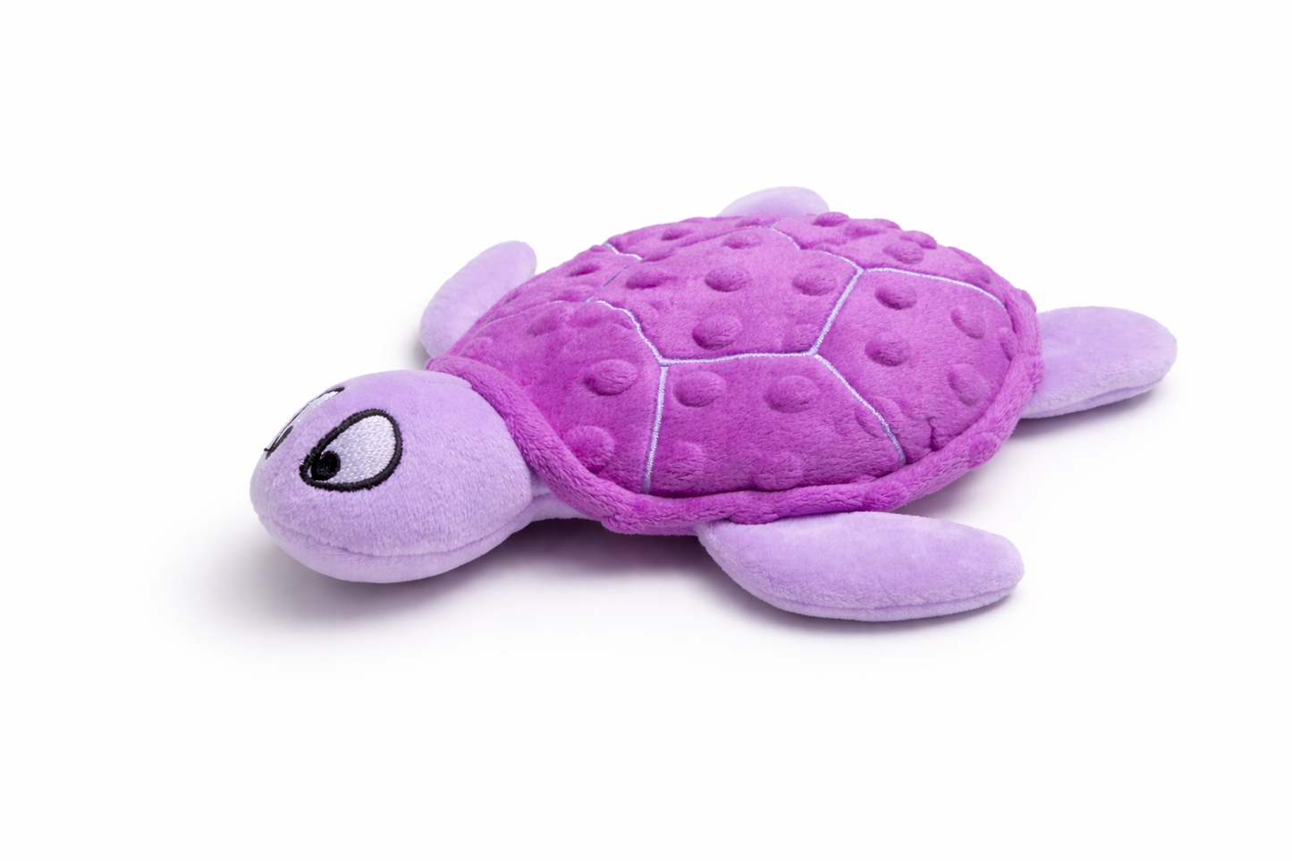 Shelby turtle