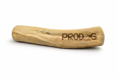 Prodog Premium Vietnamese Coffee Wood Chew