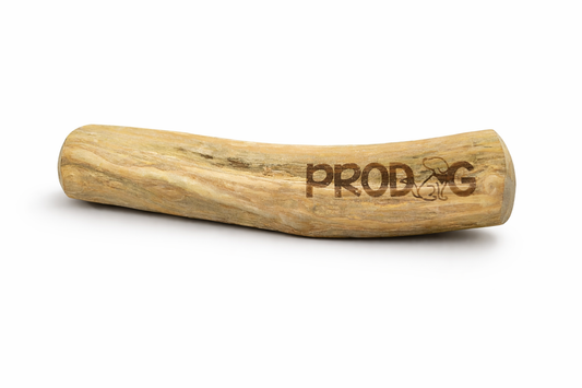 Prodog Premium Vietnamese Coffee Wood Chew