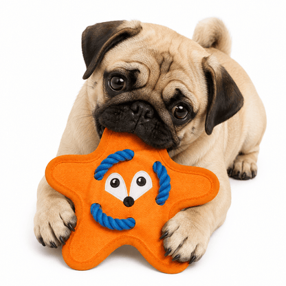 Starfish Shake & Squeak