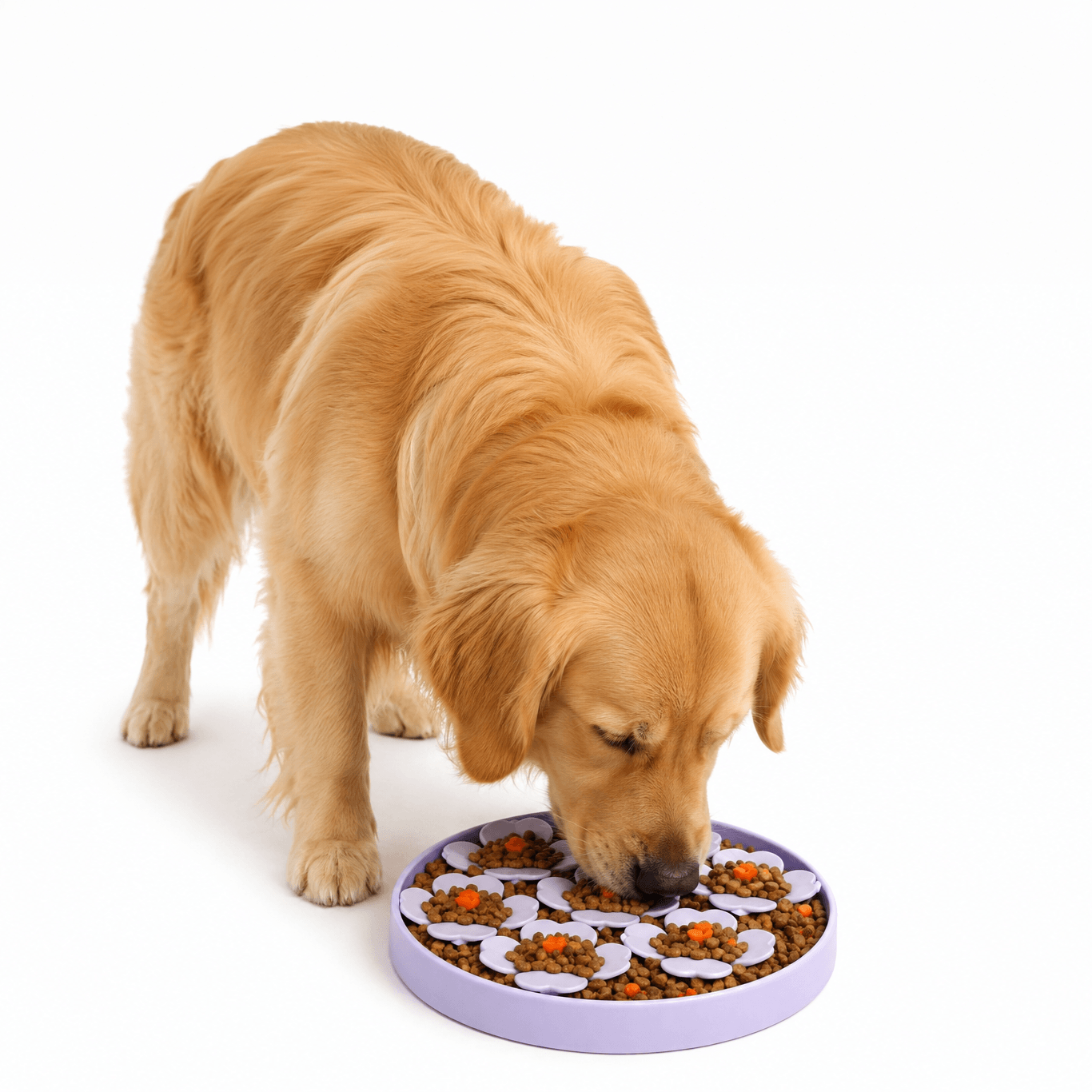 Prodog Blossom Enrichment Feeder