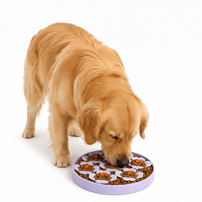Prodog Blossom Enrichment Feeder