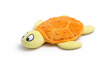Shelby turtle