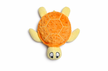 Shelby turtle