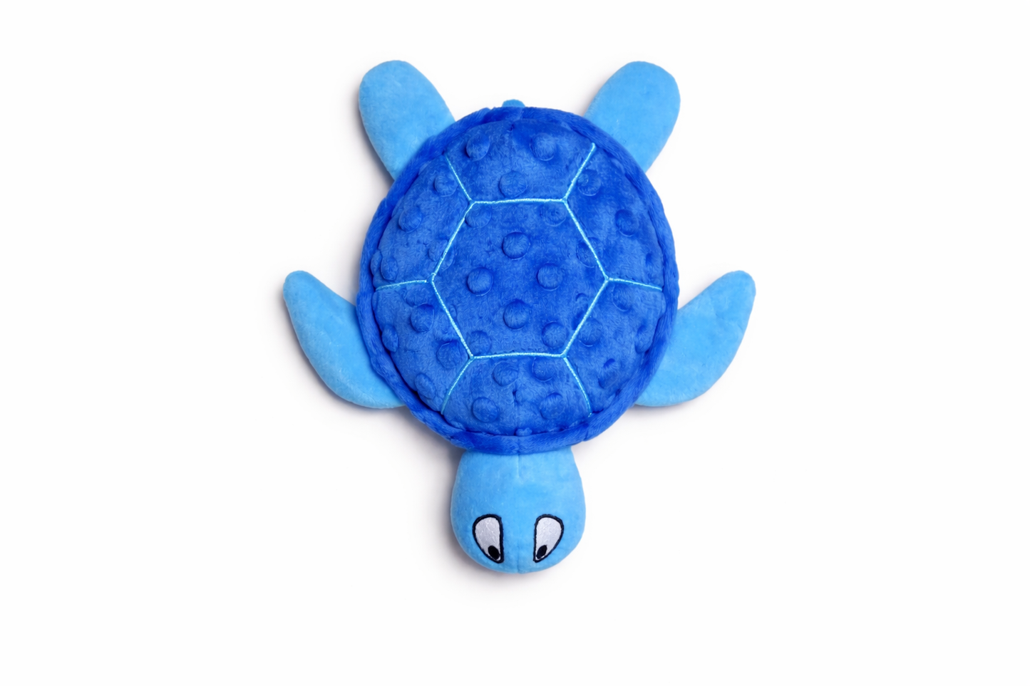 Shelby turtle