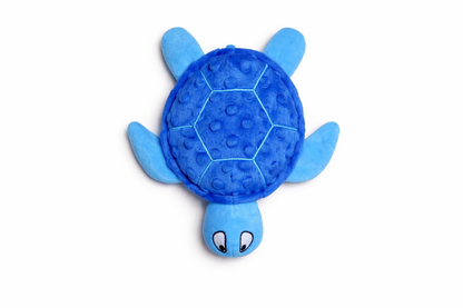 Shelby turtle