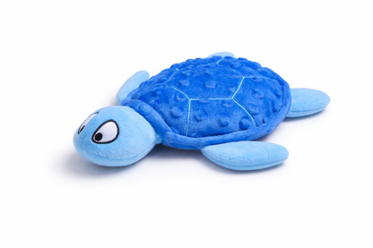 Shelby turtle