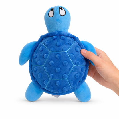 Shelby turtle