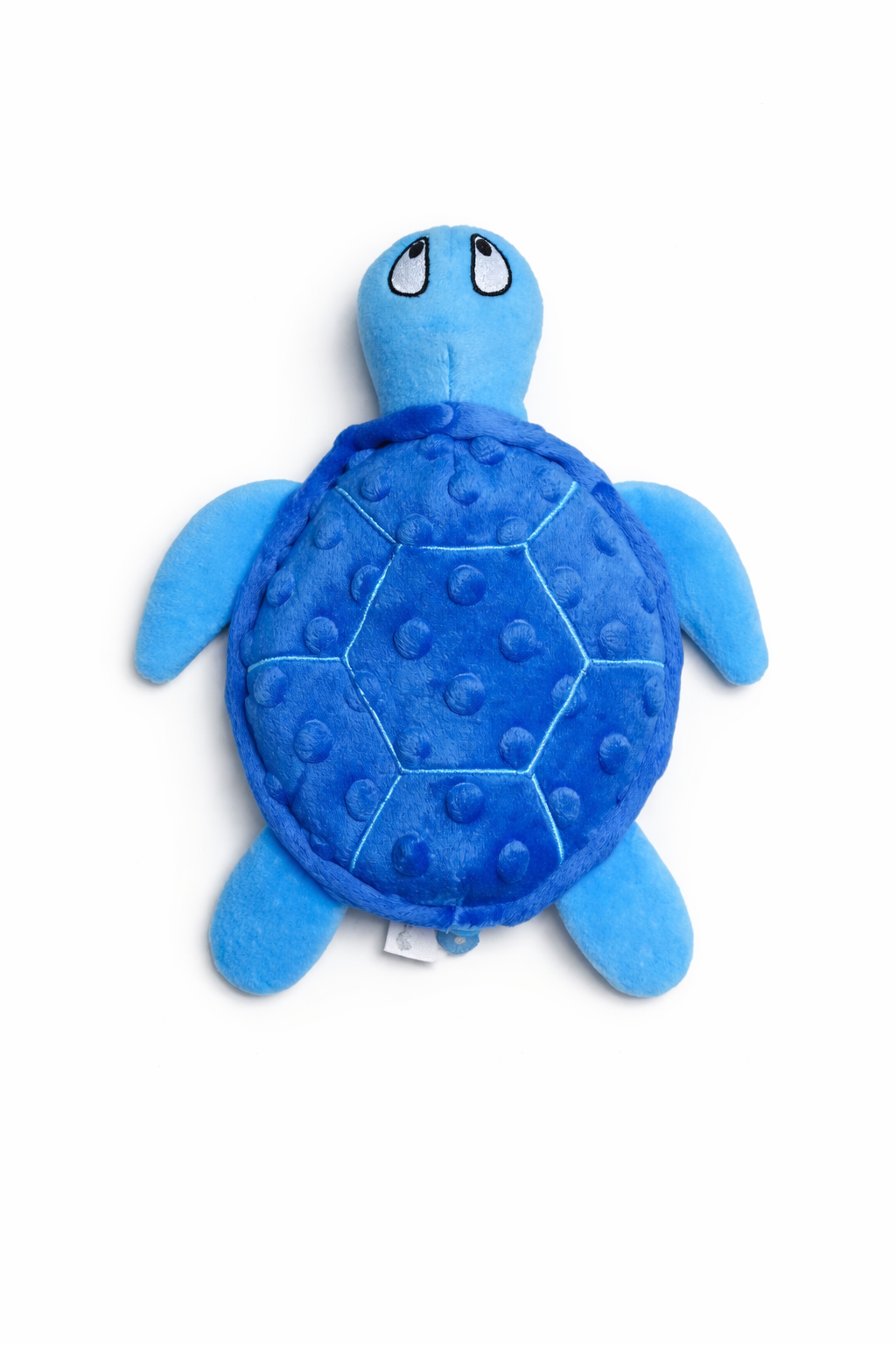 Shelby turtle