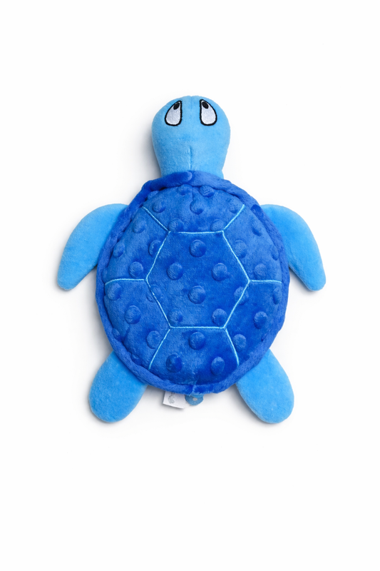 Shelby turtle