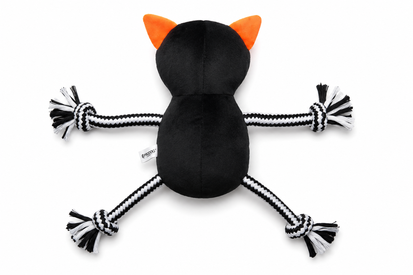 SKELLY CAT